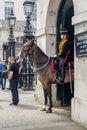 Royal horse guard