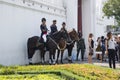 Royal Horse Guards Royalty Free Stock Photo