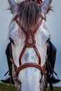 Royal Horse Guards at the Grand Palace in Bangkok Royalty Free Stock Photo