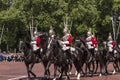 Royal horseguards riding