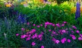 Show Garden with Summer Flowers Royalty Free Stock Photo