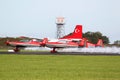 Royal Jordanian Falcons display