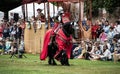 Royal knight of Hampton court parading in front of Henry Tudor and crowds