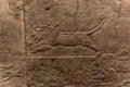 The royal Lion Hunt, Assyrian art form 645 - 635 BC Royalty Free Stock Photo