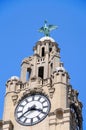 Royal Liver Building Clock Tower, Liverpool. Royalty Free Stock Photo