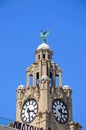 Royal Liver Building Clock Tower, Liverpool. Royalty Free Stock Photo