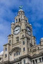 Royal Liver Building Royalty Free Stock Photo