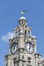 Liver building clock tower Royalty Free Stock Photo