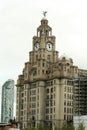 Royal Liver Building Liverpool Royalty Free Stock Photo
