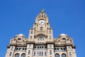 The Royal Liver Building, Liverpool. Royalty Free Stock Photo