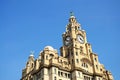 The Royal Liver Building, Liverpool. Royalty Free Stock Photo