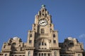 Royal Liver Building, Liverpool, England Royalty Free Stock Photo