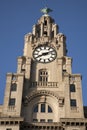 Royal Liver Building, Liverpool, England Royalty Free Stock Photo