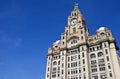 Royal Liver Building in Liverpool Royalty Free Stock Photo