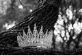 Royal luxury ancient crown, beauty contest.