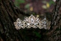 Royal luxury ancient crown, wedding accessories. Jewellery