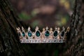 Royal luxury ancient crown, wedding accessories. Jewellery