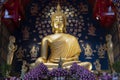 The most beautiful Buddha image at Wat Suan Dok, Chiang mai, Thailand Royalty Free Stock Photo