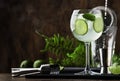 Royal mojito, alcoholic cocktail with white rum, prosecco, lime, mint and ice in wine glass with bar tools Royalty Free Stock Photo