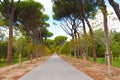 Royal Monastery of San Lorenzo de El Escorial near Madrid, Spain Royalty Free Stock Photo