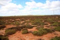 Royal National Park Royalty Free Stock Photo