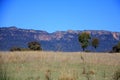 Royal National Park Royalty Free Stock Photo