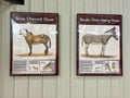 Horse pictorials in the Rhino Barn Ashfall Fossil Beds State Historic Park in Royal, NE