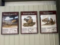 Photos of Rodent, Beaver and rat type of animal at the Ashfall Fossil Beds State Historic Park in Royal, NE