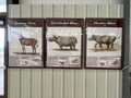 Rhino and horse pictorials in the Rhino Barn Ashfall Fossil Beds State Historic Park in Royal, NE