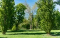 Royal Palace of Colorno, Grand Duchy of Parma. view of the palace and gardens in typical sunny day with blue sky