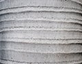 Royal palm tree trunk closeup - Roystonea Regia -