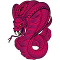 A royal pink-purple cobra snake attacks with an open hood and open mouth. Design suitable for modern tattoos