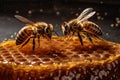 Royal retinue: bees and their devoted service to honey