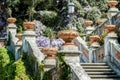 Royal staircase in castle blooming wisteria