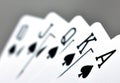 Royal state flush in spades Royalty Free Stock Photo