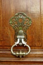 golden doorknocker on wooden door