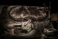 Amazing dinosaur fossils, Royal Tyrrell Museum of Palaeontology, Alberta, Canada Royalty Free Stock Photo