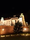 Royal Wawel Castle and Cathedral in Krakow Poland attract visitors from all over the World. It is used as a venue for performances