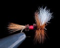 Royal Wulff Dry Fly