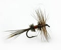 Royal Wulff Trout Fly Royalty Free Stock Photo