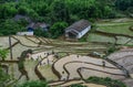 Terraced rice fields on rain season in Vietnam