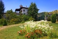 Rozhen Monastery Royalty Free Stock Photo