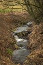 Rozmitalsky creek near Rozmital na Sumave village near border of Austria Royalty Free Stock Photo