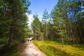 Roztocze Poland, woods and forests wide angle Royalty Free Stock Photo