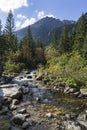 Roztoka Stream in Roztoka Valley. Tatra National Park. High Tatras, Carpathian Mountains. Nature reserve. Poland Royalty Free Stock Photo