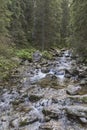 Roztoka Stream in Roztoka Valley. Tatra National Park. High Tatras, Carpathian Mountains. Nature reserve. Poland Royalty Free Stock Photo