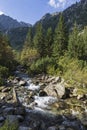 Roztoka Stream in Roztoka Valley. Tatra National Park. High Tatras, Carpathian Mountains. Nature reserve. Poland Royalty Free Stock Photo