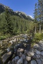 Roztoka Stream in Roztoka Valley. Tatra National Park. High Tatras, Carpathian Mountains. Nature reserve. Poland Royalty Free Stock Photo