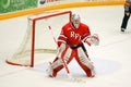 RPI Goalie #33 in NCAA Hockey Game Royalty Free Stock Photo