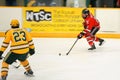 RPI #9 in NCAA Hockey Game